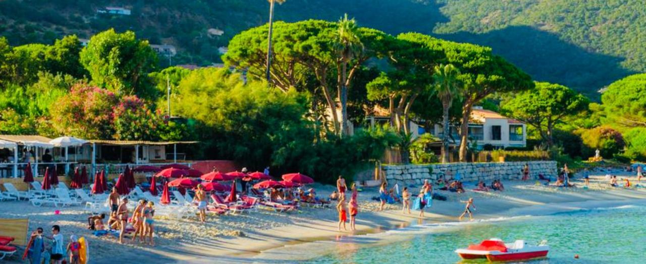 Mazet « Domaine De La Pinede » Apartment เลอลาวองดูว์ ภายนอก รูปภาพ